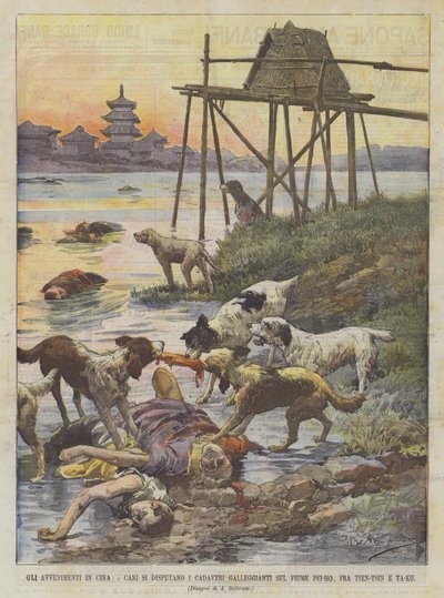 Die Ereignisse in China, Hunde streiten um die im Fluss Pei-Ho zwischen Tien-Tsin und Ta-Ku treibenden Leichen von Achille Beltrame