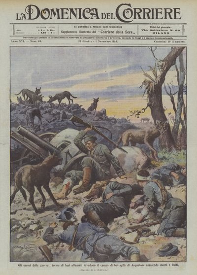Die Schrecken des Krieges, hungrige Wolfsrudel überfallen das Schlachtfeld von Augustow und greifen Tote und Verwundete an von Achille Beltrame