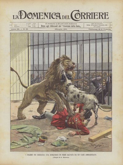 Die Dramen in den Menagerien, eine Tierdompteuse von einem trainierten Hund gerettet von Achille Beltrame
