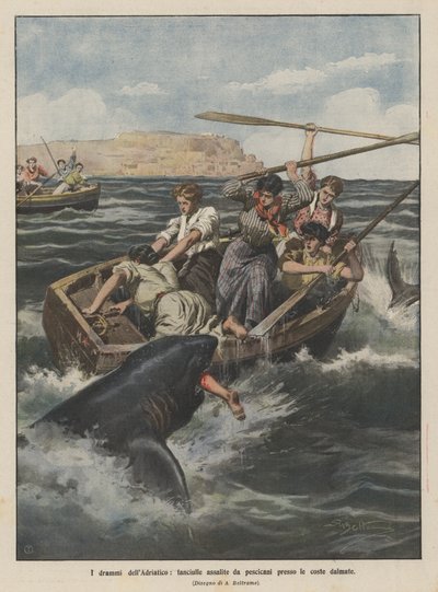Die Dramen der Adria, Mädchen von Haien an der dalmatinischen Küste angegriffen von Achille Beltrame