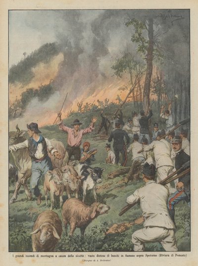 Die großen Waldbrände aufgrund der Dürre, weite Waldflächen in Flammen von Achille Beltrame