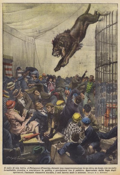 Der Sprung einer Bestie von Achille Beltrame