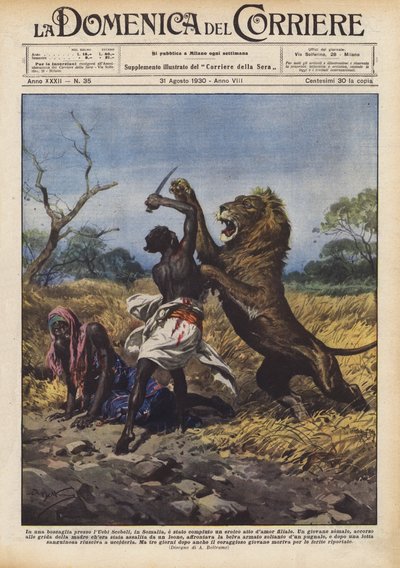 In einem Waldgebiet bei Uebi Scebeli in Somalia wurde eine heroische Tat der kindlichen Liebe vollbracht von Achille Beltrame