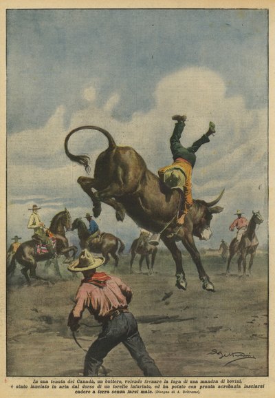 Auf einem Anwesen in Kanada versuchte ein Cowboy, eine Herde Rinder zu stoppen von Achille Beltrame