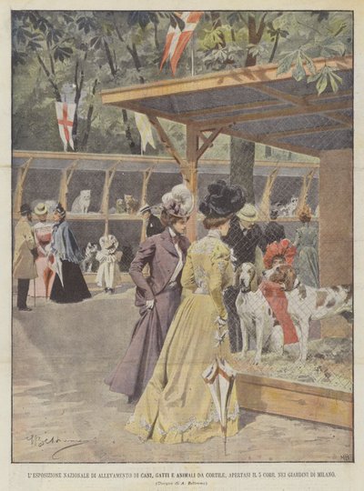 Die Nationale Ausstellung für die Zucht von Hunden, Katzen und Kleintieren, eröffnet am 5. dieses Monats von Achille Beltrame
