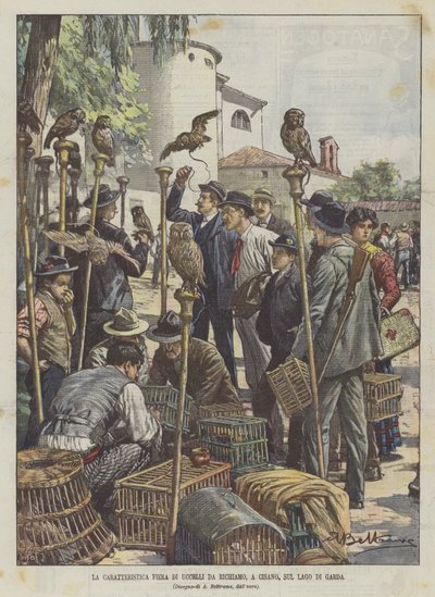 Der charakteristische Vogelmarkt in Cisano am Gardasee von Achille Beltrame