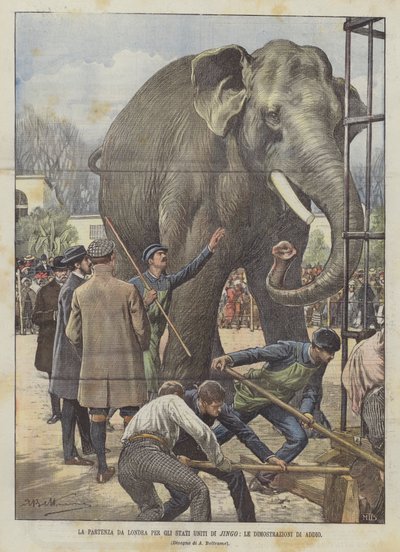 Die Abreise von Jingo aus London in die Vereinigten Staaten, die Abschiedsdemos von Achille Beltrame