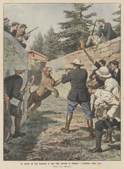 Die Jagd auf eine Löwin in einer Privatvilla in Brianza, die Tötung des Tieres von Achille Beltrame