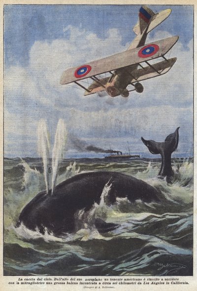 Die Jagd vom Himmel von Achille Beltrame