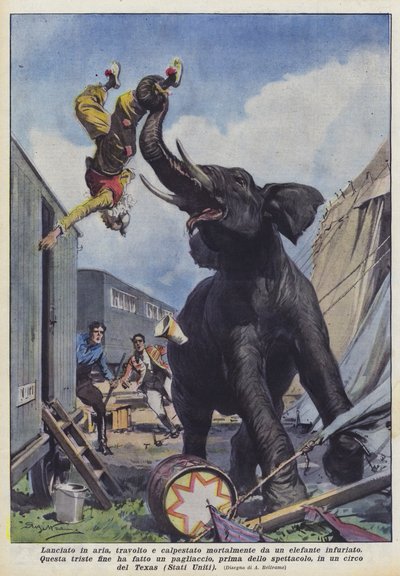 In die Luft geworfen, überrannt und tödlich von einem wütenden Elefanten zertrampelt von Achille Beltrame