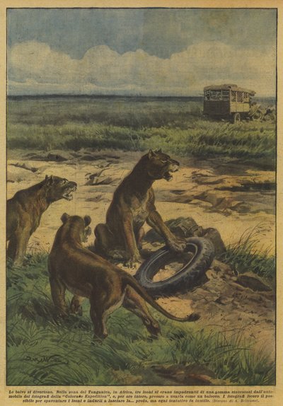 Die wilden Tiere haben Spaß von Achille Beltrame