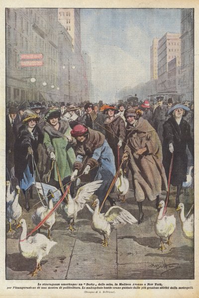 Die amerikanischen Extravaganzen, ein Gänse-Derby auf der Madison Avenue in New York zur Eröffnung von Achille Beltrame