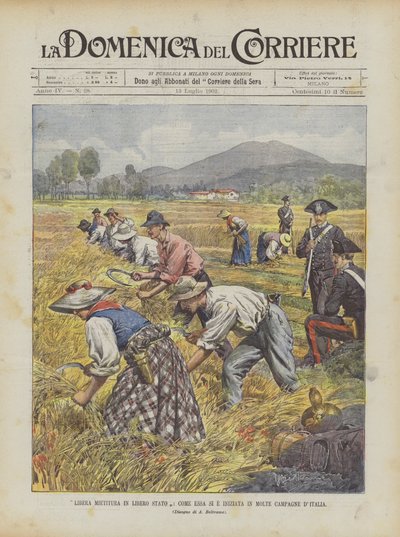 Freie Ernte im freien Staat, wie sie in vielen italienischen Feldern begonnen hat von Achille Beltrame