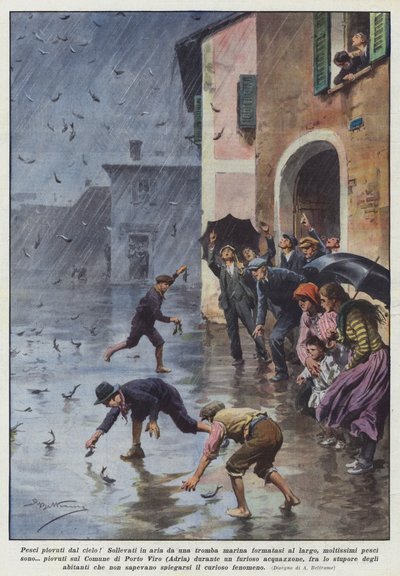 Fische, die vom Himmel fielen! In die Luft gehoben durch einen Meereswirbel von Achille Beltrame