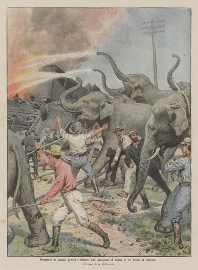 Feuerwehrleute neuer Art, Elefanten löschen ein Feuer in einem brennenden Zug von Achille Beltrame