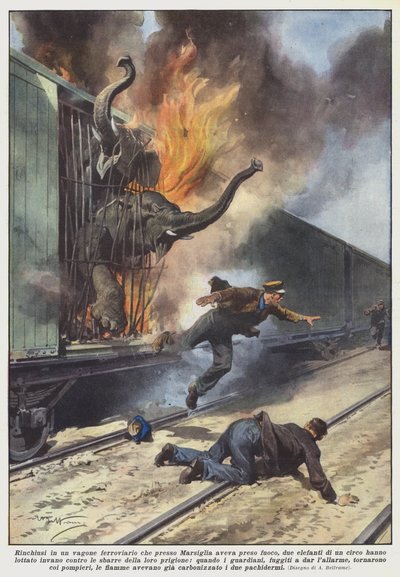 Eingeschlossen in einem Eisenbahnwagen, der bei Marseille Feuer gefangen hatte, zwei Elefanten von Achille Beltrame