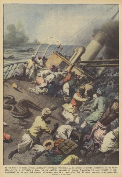 Auf einem Hochwasserfluss bei Kolhapur in Westindien, eine große Schlange, die sich? von Achille Beltrame