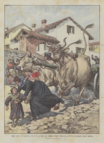 Demütige Helden, eine Lehrerin, die ein Mädchen retten wollte, wird von zwei wütenden Ochsen getötet, bei Brescia von Achille Beltrame