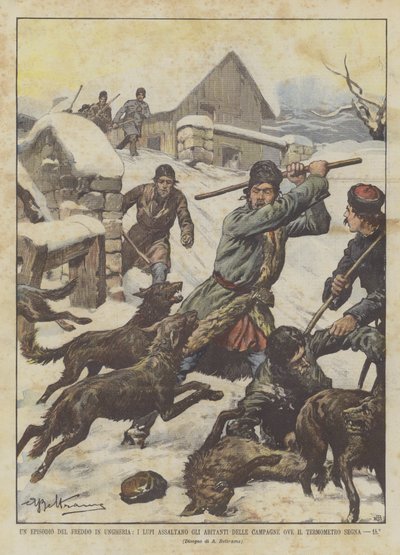 Eine Episode der Kälte in Ungarn, die Wölfe greifen die Bewohner der Dörfer an, wo das Thermometer -15° anzeigt von Achille Beltrame