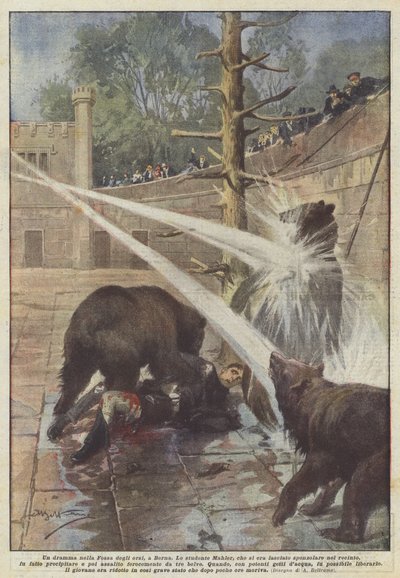 Ein Drama in der Bärengrube in Bern von Achille Beltrame