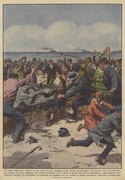 Ein riesiger Oktopus, ausgestellt in einem Becken an einem Strand bei Toulon, hat... von Achille Beltrame