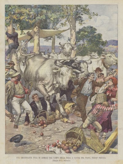Eine aufregende Flucht von Tieren vom Messegelände in Castel del Piano bei Perugia von Achille Beltrame