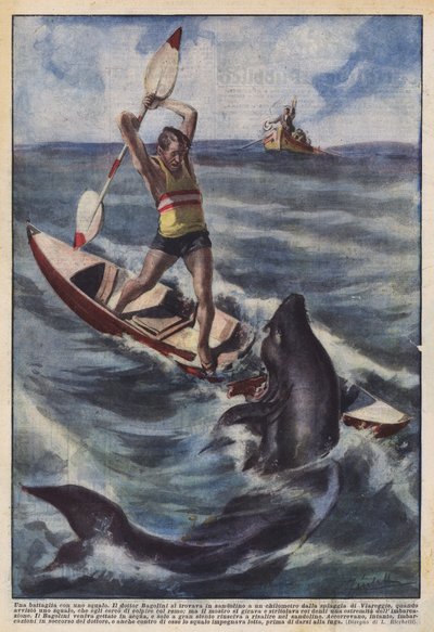 Ein Kampf mit einem Hai von Achille Beltrame