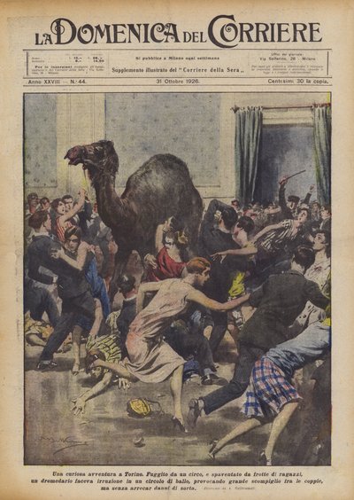 Ein kurioses Abenteuer in Turin von Achille Beltrame