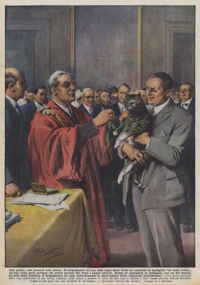 Eine Katze, die in die Geschichte eingehen wird von Achille Beltrame