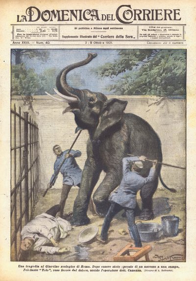Eine Tragödie im Zoo von Rom von Achille Beltrame