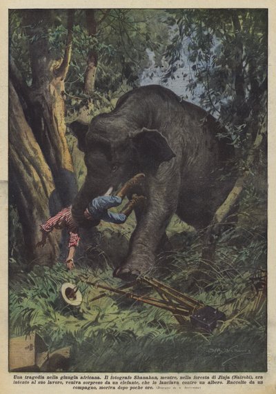 Eine Tragödie im afrikanischen Dschungel von Achille Beltrame
