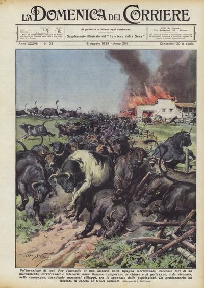 Eine Invasion von Stieren von Achille Beltrame