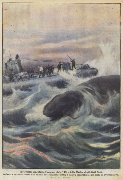 Ein ungewöhnlicher Zusammenstoß von Achille Beltrame