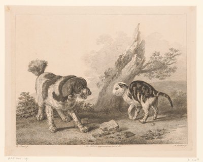 Hund und Katze in Kampfhaltung (Tiere nach Gemälden holländischer Meister) von Adam von Bartsch
