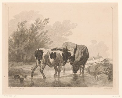 Zwei Kühe in einem Bach von Adam von Bartsch