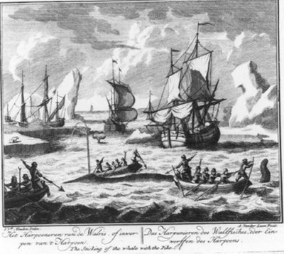 "Das Harpunieren des Wals, oder das Einwerfen der Harpune" (Nr. 2 aus der Serie Walfang) von Adolf van der Laan