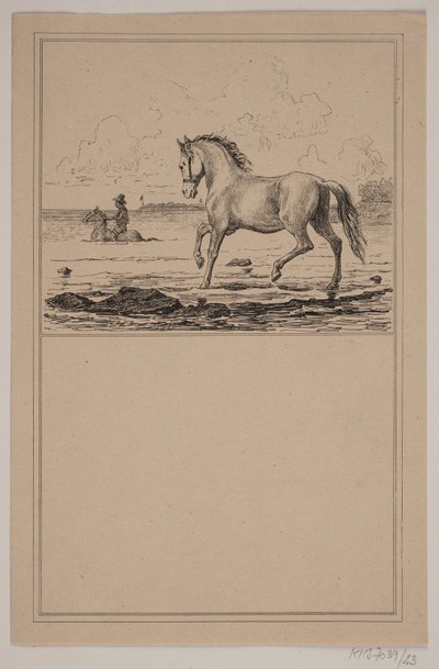Das Pferd im Wasser. Nr. 22 in Chr. Winther und M. Rørbye, "25 Bilder für kleine Kinder" von Johan Adolph Kittendorff