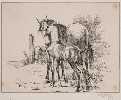 Das Pferd und das Fohlen von Johan Adolph Kittendorff