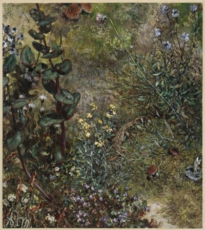 Waldboden mit der Eidechse. Aus dem "Kinderalbum" von Adolph Menzel