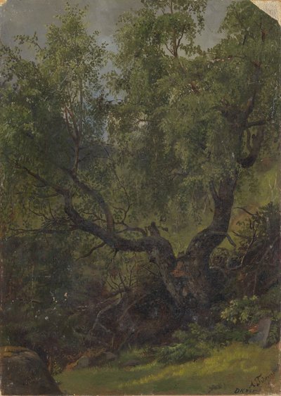 Waldstudie aus Numedal von Adolph Tidemand