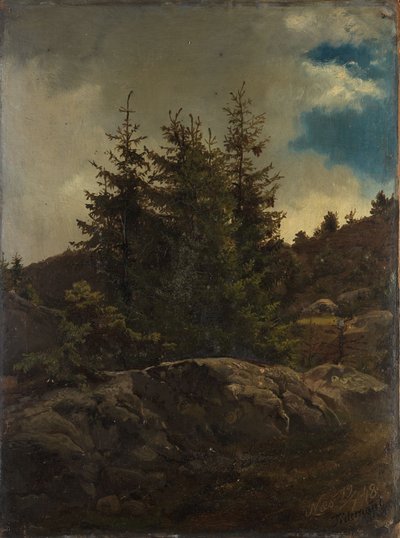 Landschaft von Nes in Hallingdal von Adolph Tidemand