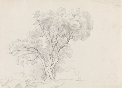 Laubbäume von Adolph Tidemand