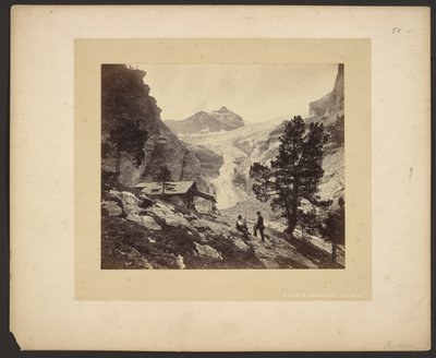 Alpenblick am Faulhorn von Adolphe Braun