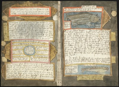 Adriaen Coenens Visboeck - KB 78 E 54 - Folios 370v (links) und 371r (rechts) von Adriaen Coenen