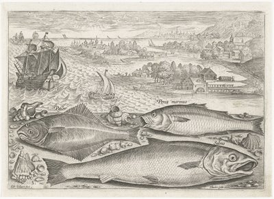 Drei Fische am Strand von Adriaen Collaert