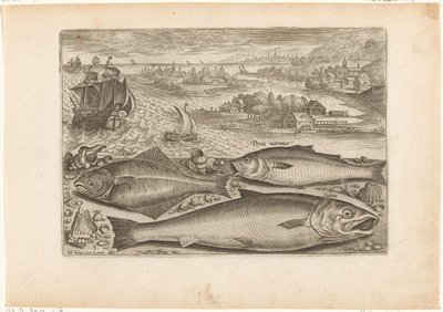 Drei Fische am Strand von Adriaen Collaert