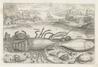 Ein Fisch und einige Schalentiere am Strand (Vissen, Piscivm vivae icones) von Adriaen Collaert