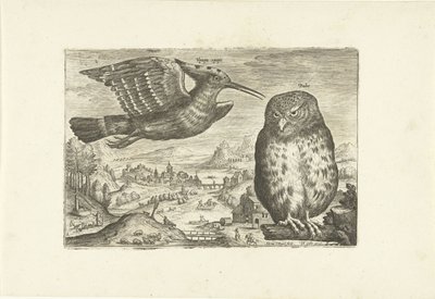 Einige Vögel in einer Landschaft von Adriaen Collaert