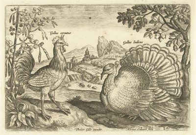 Zwei Hühner in einer Landschaft von Adriaen Collaert