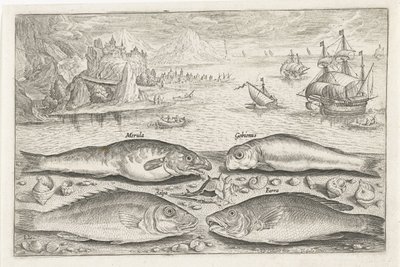 Vier Fische am Strand von Adriaen Collaert